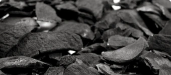 Coconut Shell Charcoal