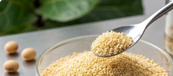 Soy Lecithin